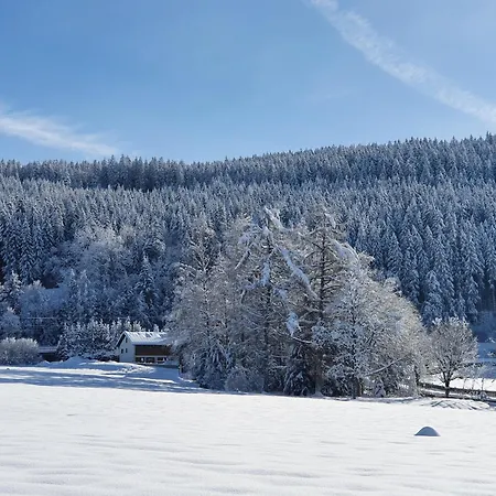 Buehlchen Apartmán *