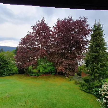 Buehlchen Titisee-Neustadt