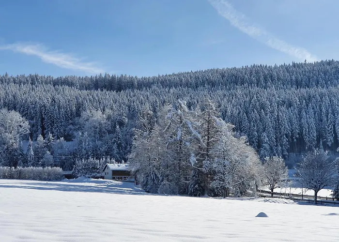 Buehlchen Διαμέρισμα *