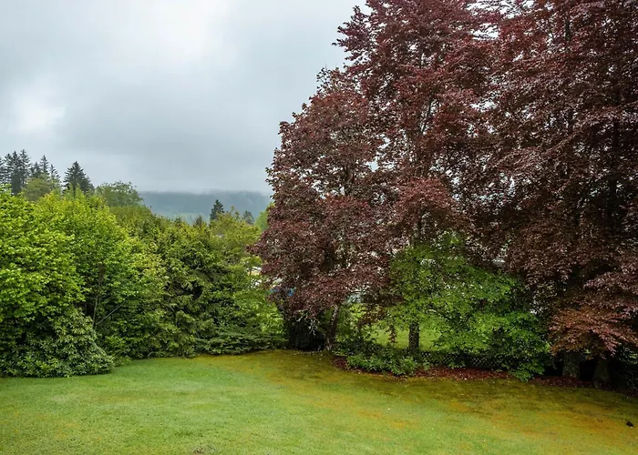 Buehlchen Διαμέρισμα Titisee-Neustadt