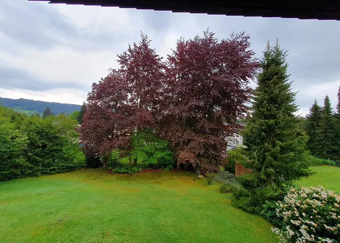 Buehlchen Titisee-Neustadt